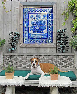 Daisy looks forward to welcoming you