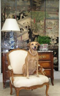 Loulou looks forward to welcoming you