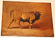 English Painting of Bull