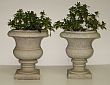 Pair of Italian Urns